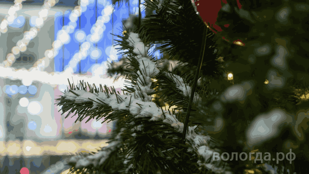 Гонки на радиоуправляемых машинках, дискотека, новогоднее кино: что ждет вологжан 9 января